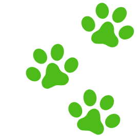 Website-Paws-Corner (1)