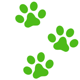 Website-Paws-Corner